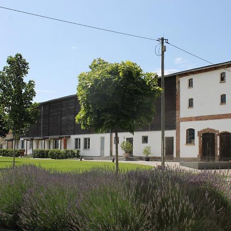 Appartamento Gutshof Marienthal Viereck Esterno foto